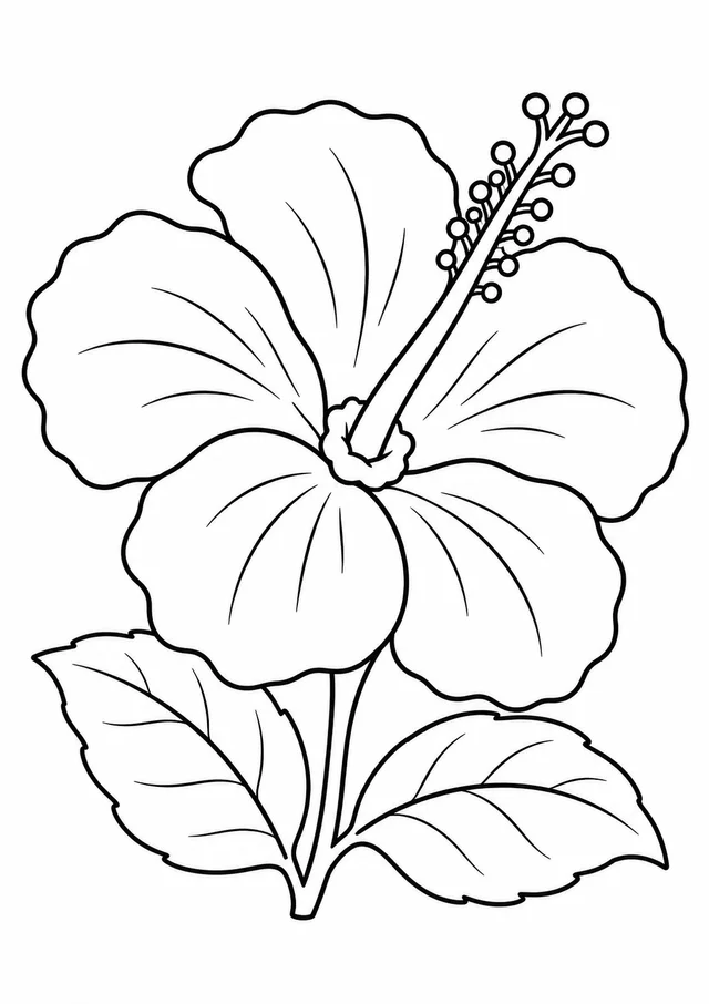 Hibisco grande com duas folhas para colorir